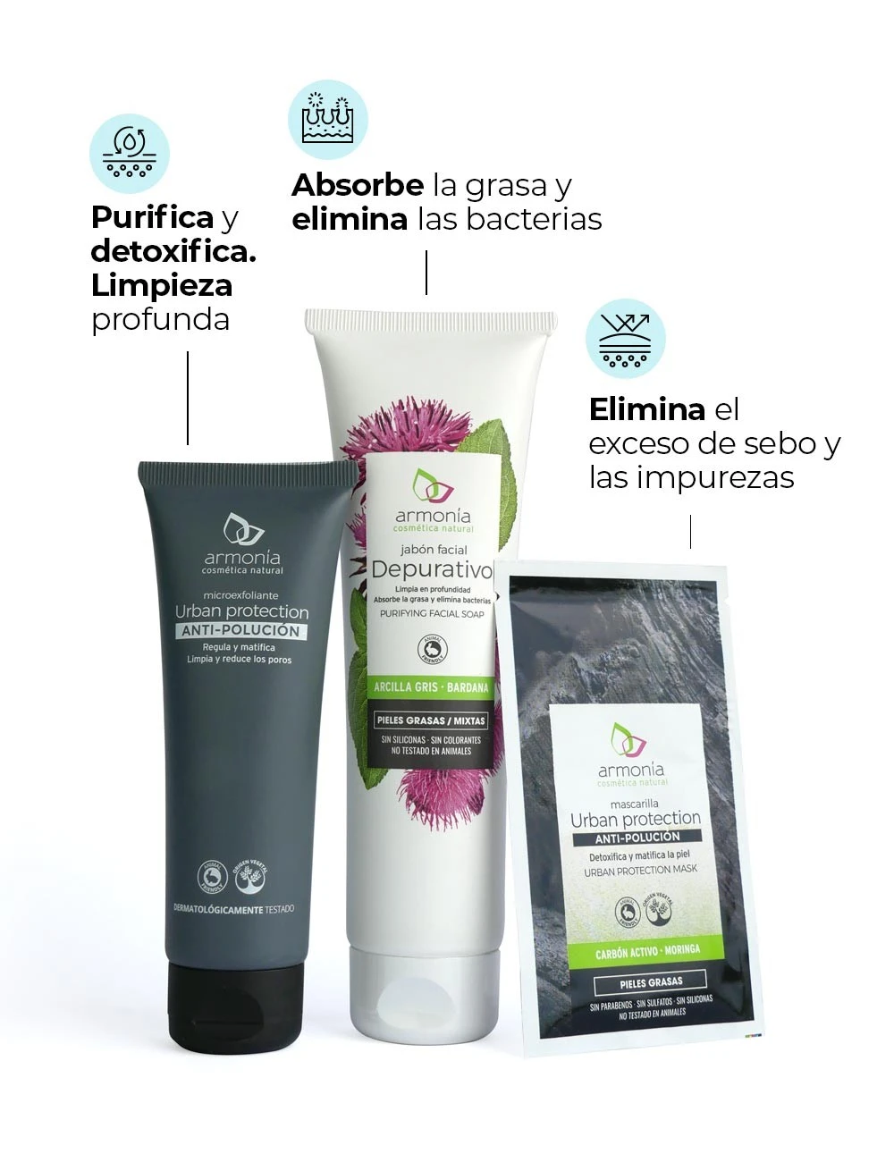 Pack Pieles Grasas 4 Pack Pieles Grasas - Image 2